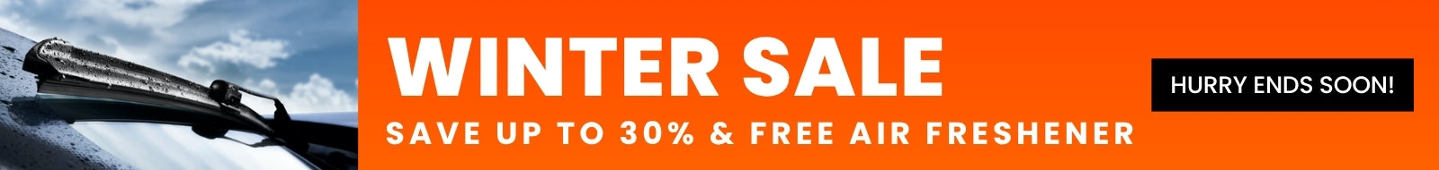 Winter Sale - 60% Off